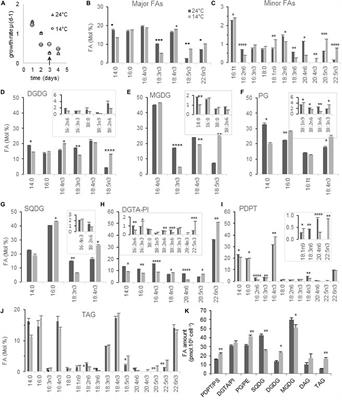 Temperature Acclimation of the Picoalga Ostreococcus tauri Triggers Early Fatty-Acid Variations and Involves a Plastidial ω3-Desaturase